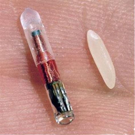 are military required to have the rfid chip|VeriChip Wants To Test Human.